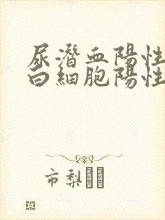 尿潜血阳性,尿白细胞阳性是咋回事