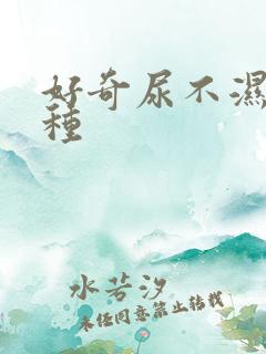 好奇尿不湿有几种