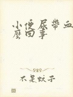 小便尿带血是怎么回事