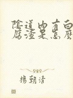 阴道内有白色豆腐渣是怎么回事