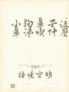 小狗鼻子流黄浓鼻涕吃什么药