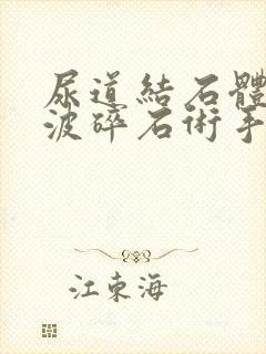 尿道结石体外震波碎石术手术费大概多少