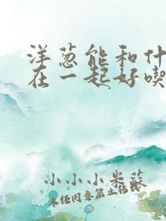 洋葱能和什么炒在一起好吃