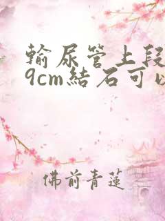 输尿管上段0.9cm结石可以体外碎石吗