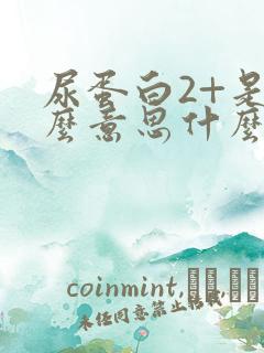 尿蛋白2+是什么意思什么原因导致的呢