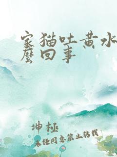 家猫吐黄水是怎么回事