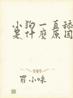 小狗一直舔爪子是什么原因