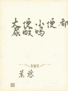 大便小便都能排尿酸吗