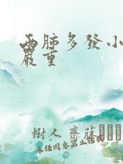 两肺多发小结节严重