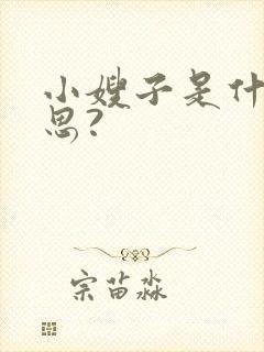 小嫂子是什么意思?