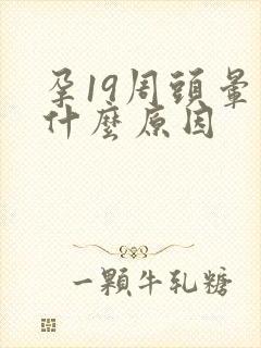 孕19周头晕是什么原因