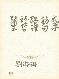关于路的感悟人生哲理句子