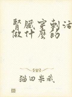 肾脏穿刺活检是做什么的