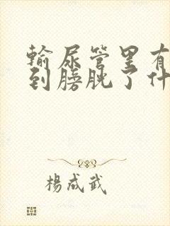 输尿管里有结石到膀胱了什么感觉