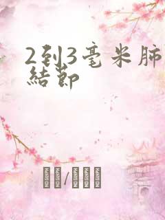 2到3毫米肺有结节