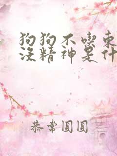 狗狗不吃东西还没精神是什么原因