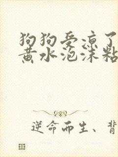 狗狗受凉了呕吐黄水泡沫粘液