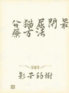 公猫尿闭最佳治疗方法