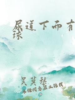 尿道下面有个肉球