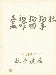 泰迪狗狗拉稀拉血咋回事