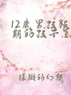 12岁男孩叛逆期的孩子怎么去引导