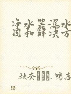 净水器漏水的原因和解决方法