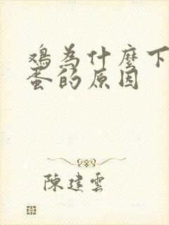 鸡为什么下软壳蛋的原因