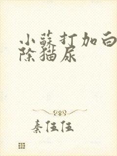 小苏打加白醋去除猫尿