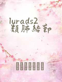 lurads2类肺结节