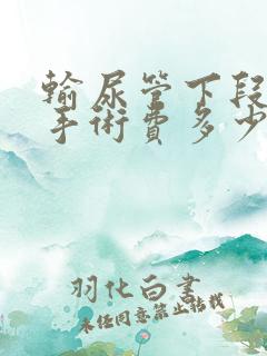 输尿管下段结石手术费多少钱