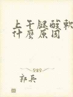 上午腿酸软无力什么原因