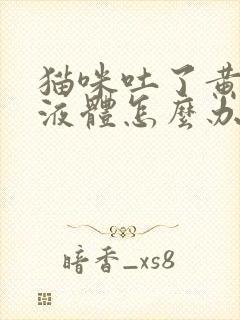 猫咪吐了黄色的液体怎么办