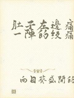 肚子左边痛一阵一阵的绞痛