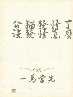 公猫发情了母猫没发情怎么办