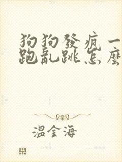 狗狗发疯一样乱跑乱跳怎么回事