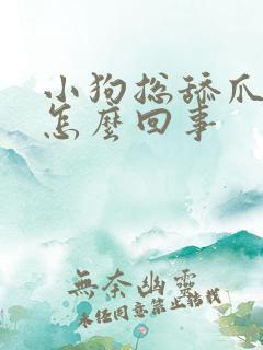 小狗总舔爪子是怎么回事