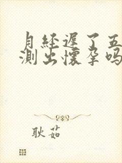 月经迟了五天能测出怀孕吗