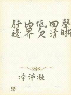 肝内低回声结节边界欠清晰