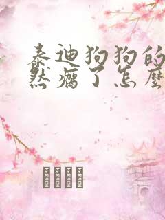 泰迪狗狗的腿突然瘸了怎么回事