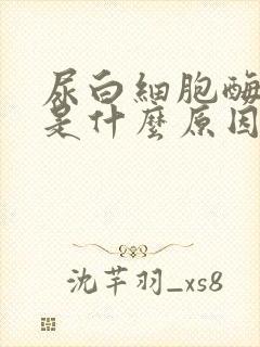 尿白细胞酶1 是什么原因