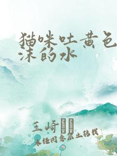 猫咪吐黄色带泡沫的水