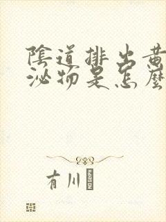 阴道排出黄色分泌物是怎么回事