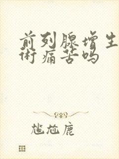 前列腺增生电切术痛苦吗