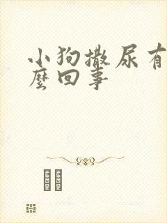 小狗撒尿有血怎么回事