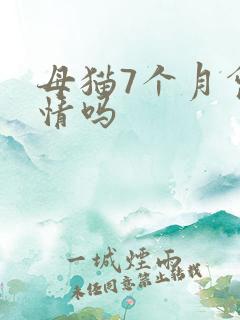 母猫7个月会发情吗