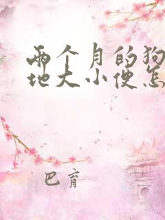 两个月的狗狗随地大小便怎么训练