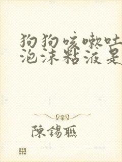 狗狗咳嗽吐白色泡沫粘液是什么原因