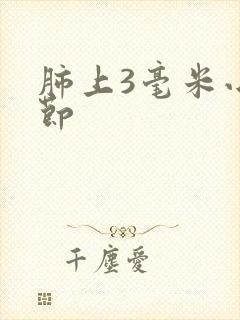 肺上3毫米小结节