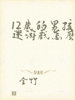 12岁的男孩沉迷游戏怎么办