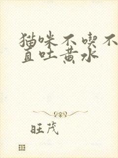 猫咪不吃不喝一直吐黄水